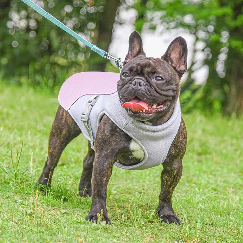 Dog Cooling Vest for Outdoor Activities | Bowlift