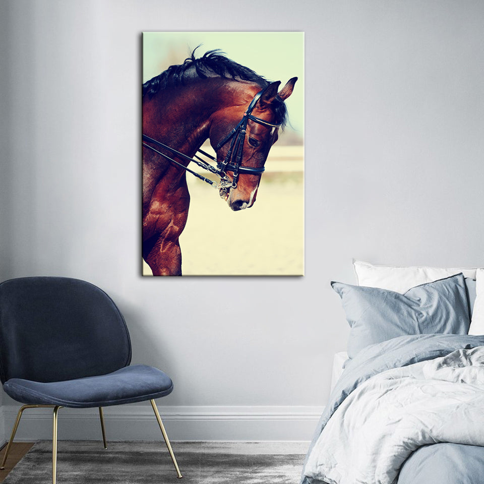 Graceful Haltered Horse - Canvas Wall Art Painting | Bowlift