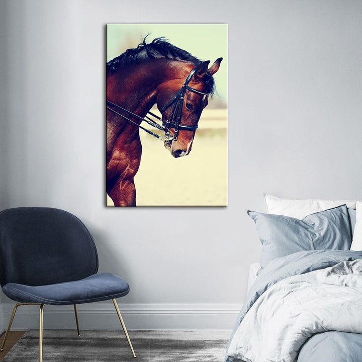 Graceful Haltered Horse - Canvas Wall Art Painting | Bowlift
