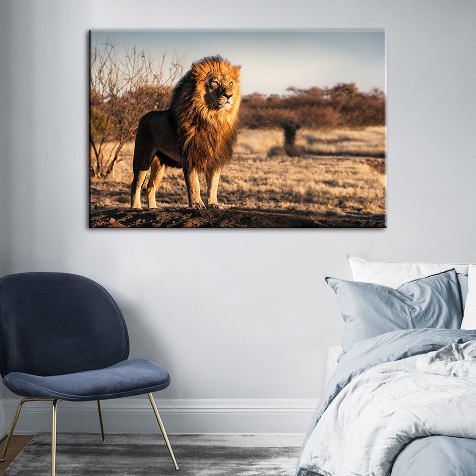 Majestic Lion Bathed In Sunlight - Canvas Wall Art Painting | Bowlift