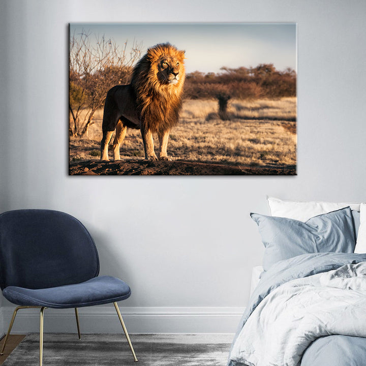 Majestic Lion Bathed In Sunlight - Canvas Wall Art Painting | Bowlift