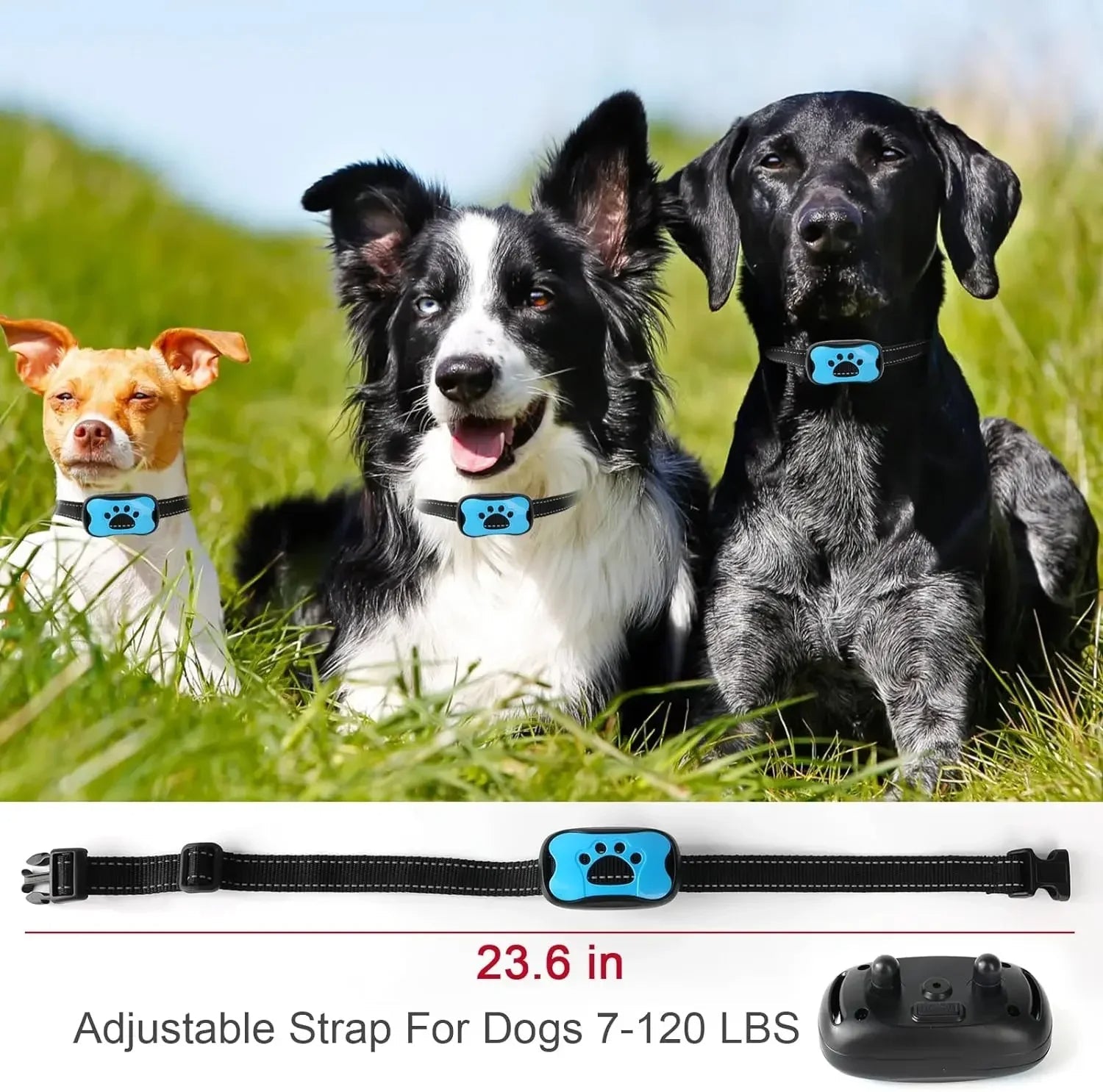 BowLift | Anti-Bark Dog Collar – Stop Unwanted Barking with the BarkBuddy Vibration Training Collar for Dogs