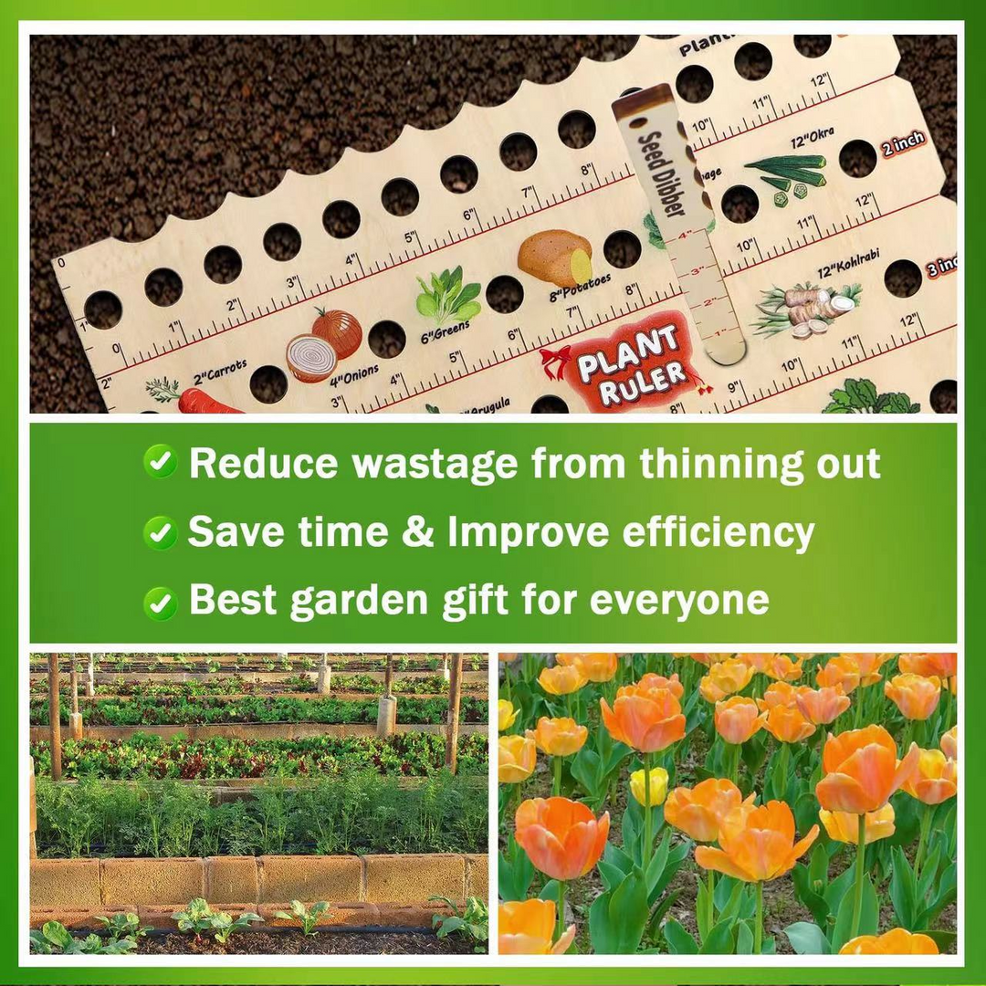 BowLift | Wood Plant Ruler – Multifunctional Seed Measuring Tool for Garden