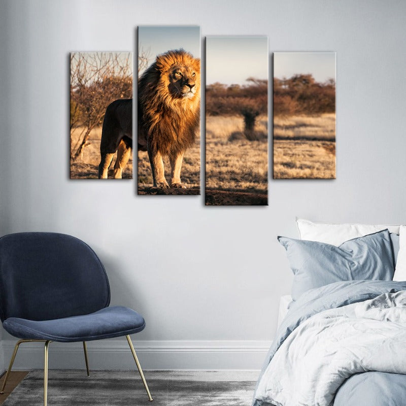 4 Piece Majestic Lion Bathed in Sunlight - Canvas Wall Art Painting | Bowlift