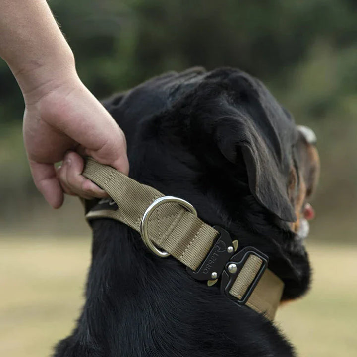 Tactical Dog Collar with Handle – GripMaster Bowlift