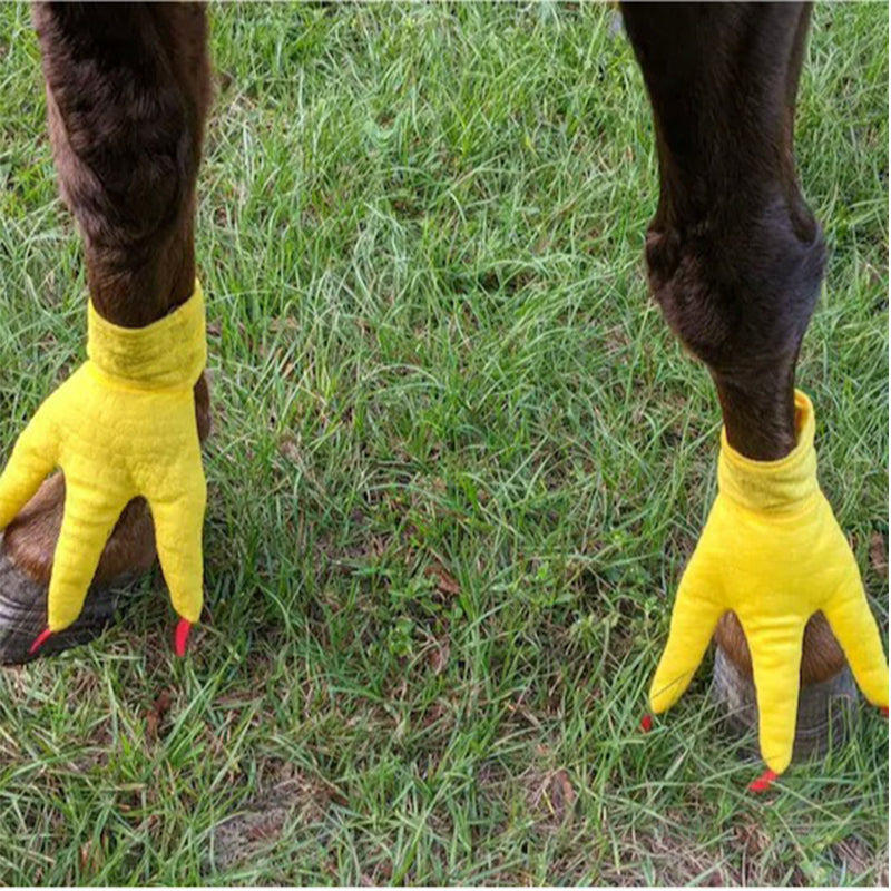 BowLift | Funny Feet For Horse