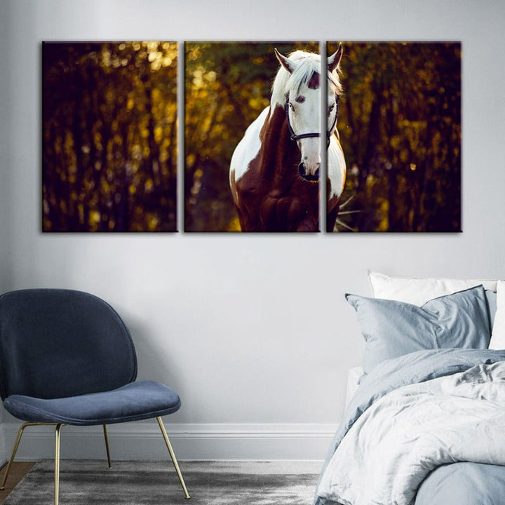 Courtly Overo Horse-Canvas Wall Art Painting 3 Pieces | Bowlift