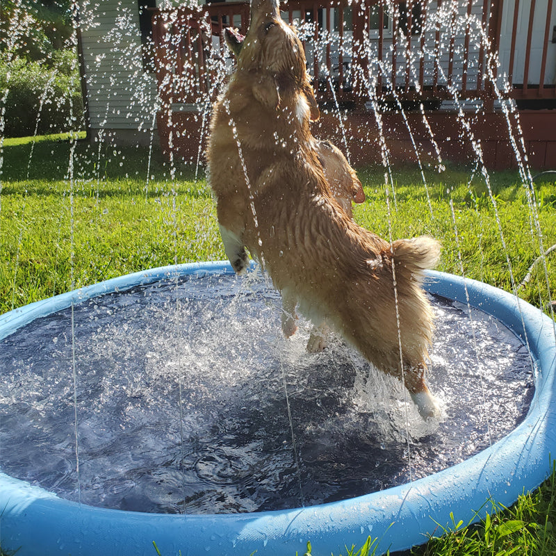 BowLift | Dog Sprinkler Pool 59''x59''