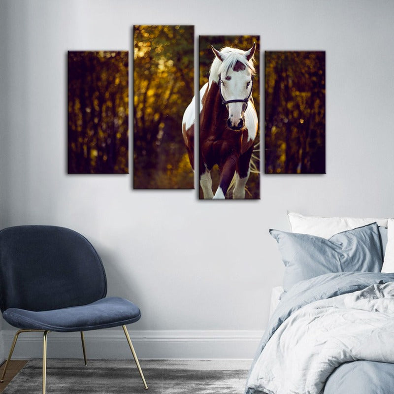 4 Piece Courtly Overo Horse - Canvas Wall Art Painting | Bowlift