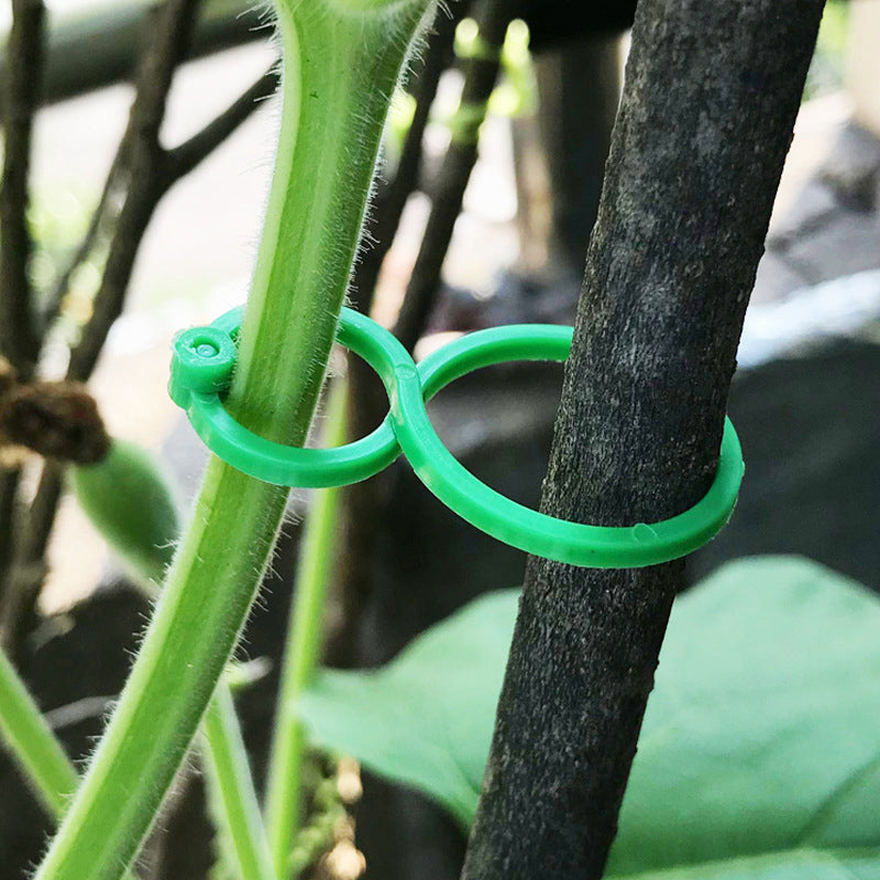 BowLift | Practical garden plant holder (50 pieces)