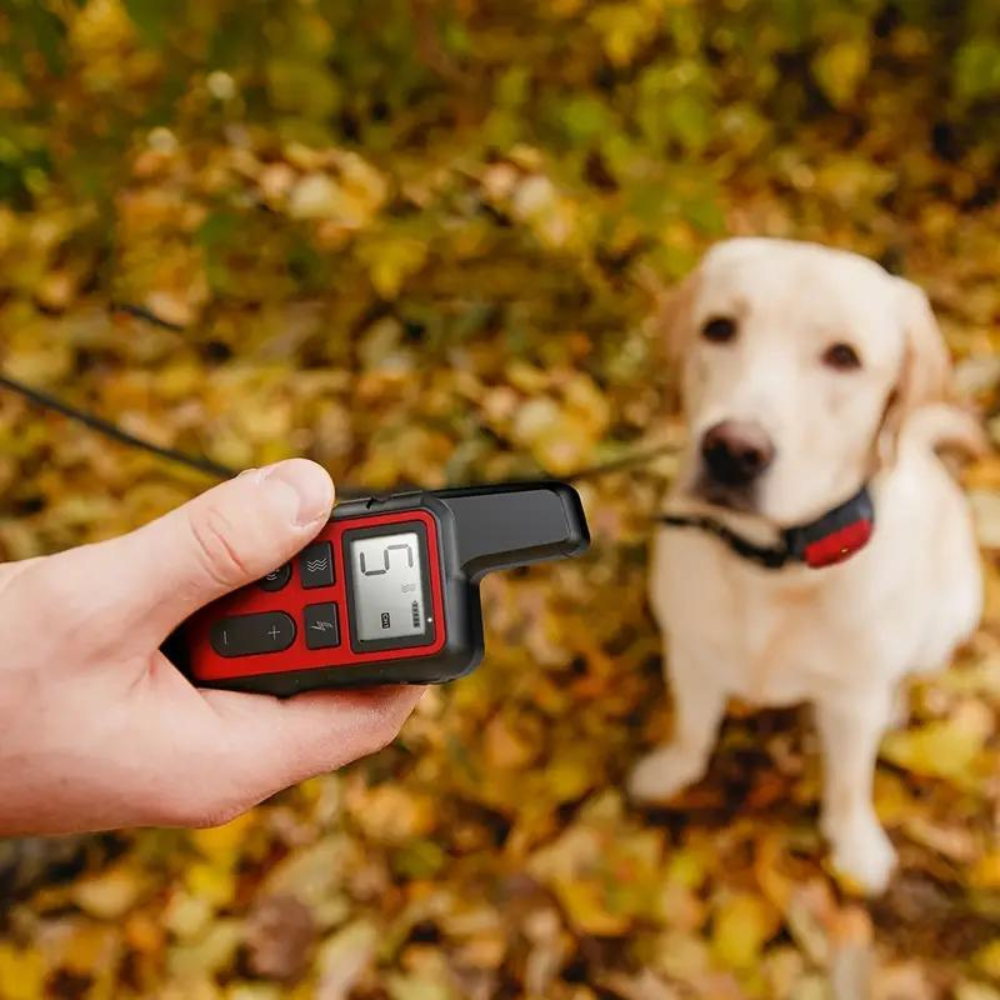 ControlPro • Dog Training Collar