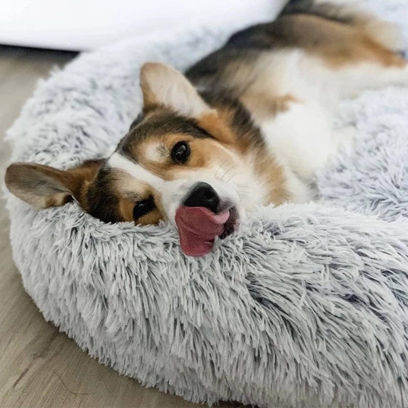 BowLift | Fluffy Calming Pet Bed for Dogs and Cats
