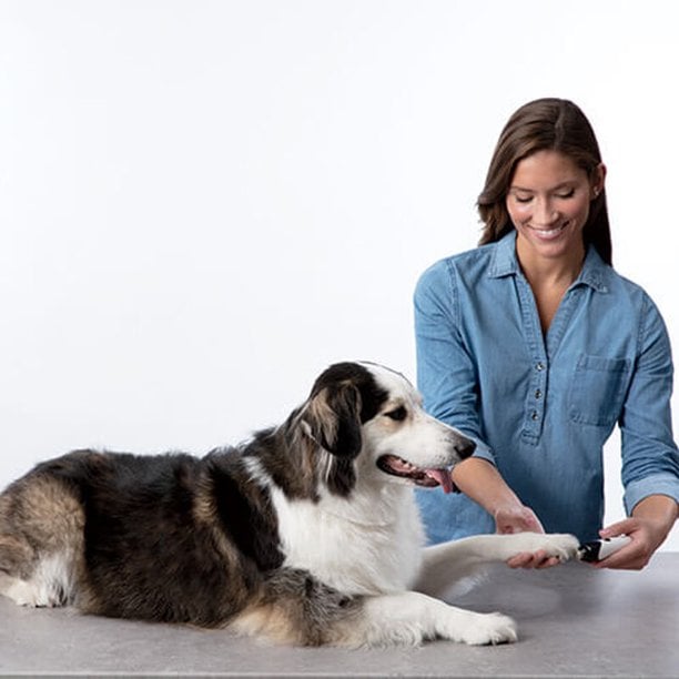 BowLift | Rechargeable Pet Nail Grinder Soundless Good for Pet's Health