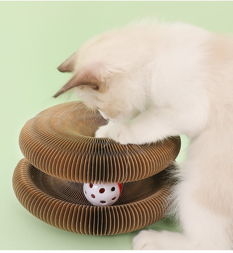 BowLift | Magic Cat Scratch Board(with ball )