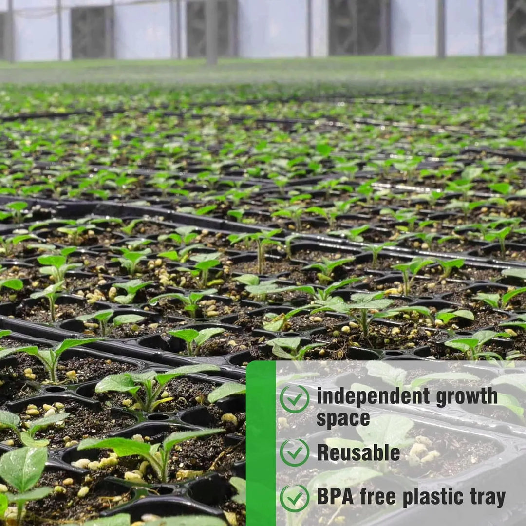 BowLift | Rectangular Plant Bowl – Seedling Tray for Efficient Germination and Growth of Seedlings