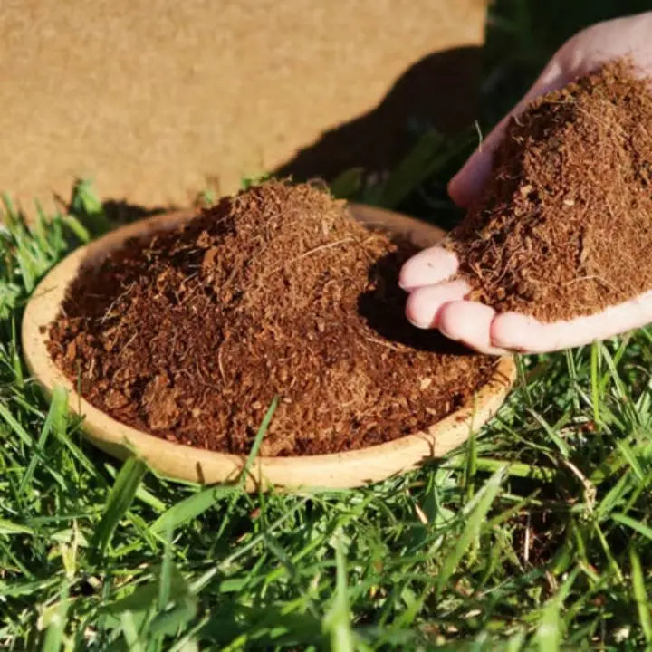 BowLift | 5 Pieces Coconut Fiber Plant Pads – Eco-Friendly Blocks for Garden