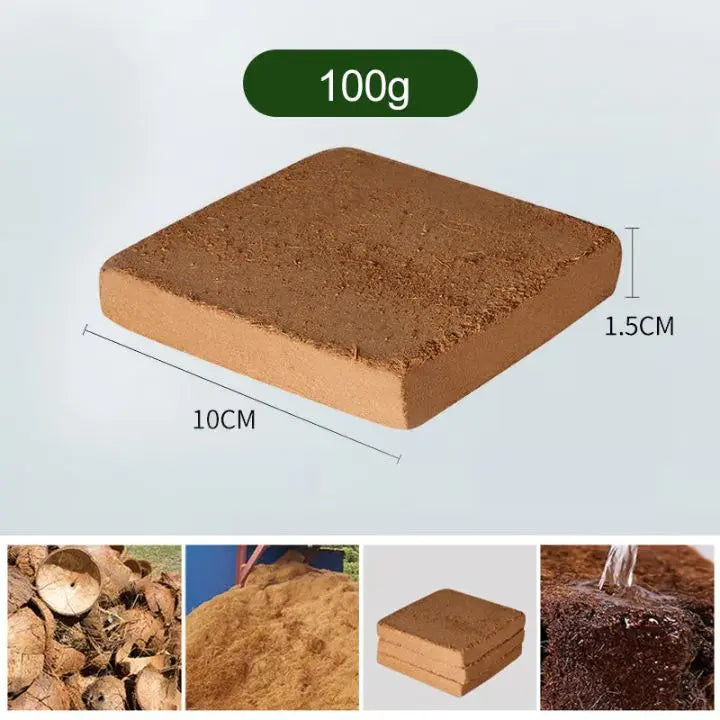 BowLift | 5 Pieces Coconut Fiber Plant Pads – Eco-Friendly Blocks for Garden