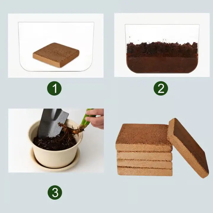 BowLift | 5 Pieces Coconut Fiber Plant Pads – Eco-Friendly Blocks for Garden