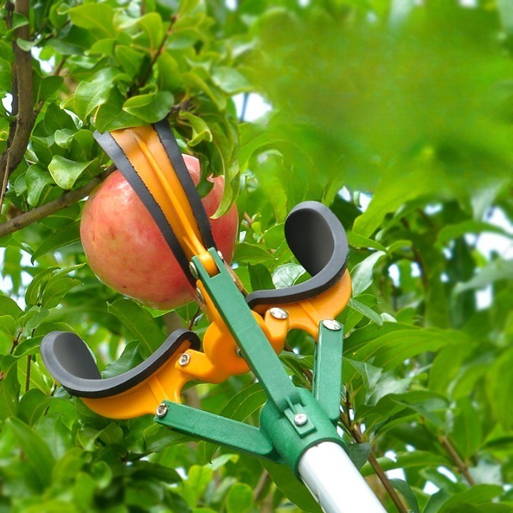 BowLift | Sky High Telescopic Handle Fruit Picker