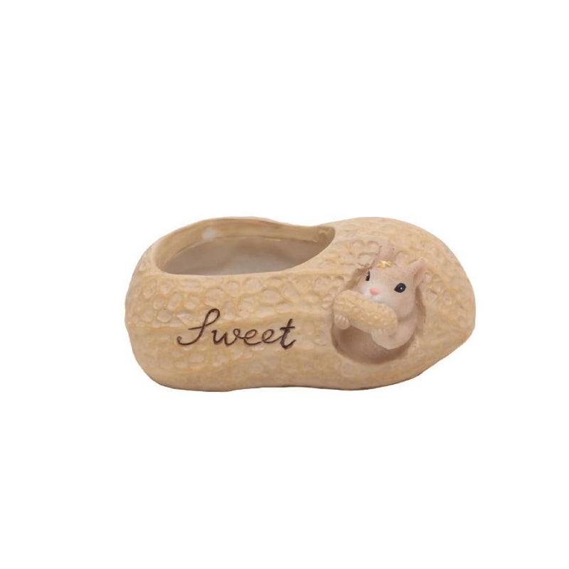 BowLift | Cartoon Squirrel Succulent Flower Pot