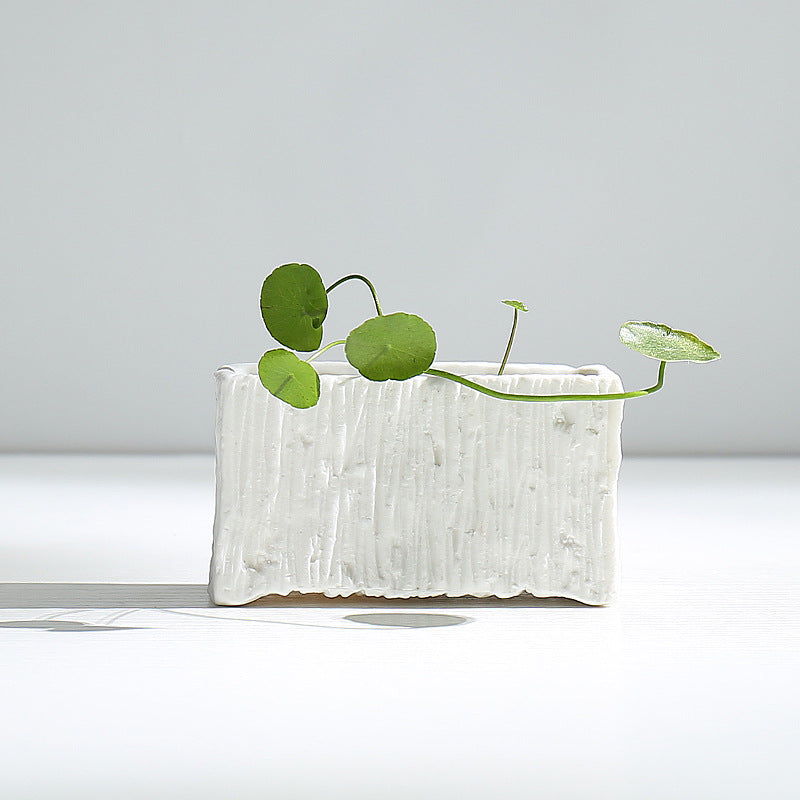 Textured Modern Ceramic Plant Pot