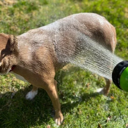 BowLift | Multi-mode Dog Bath Foaming Water Gun
