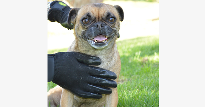 BowLift | Pair of Pet Grooming Gloves
