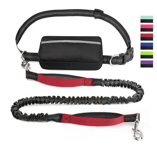 FlowLeash — Experience gentle control and relaxed walks without jerks! | Bowlift