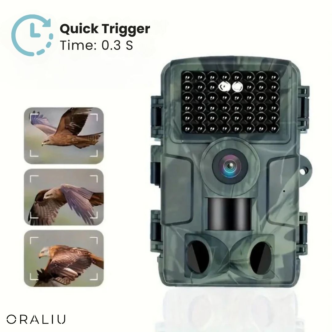 BowLift | 4K Ultra HD Wildlife Camera – 60MP with App Control
