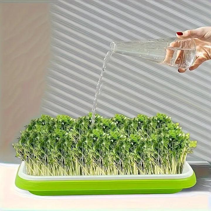 BowLift | Germination trays with lid – Double-layer seed sowing tray for effective seed germination