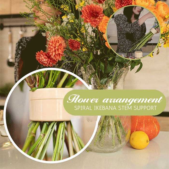 BowLift | Spiral Ikebana Stem Holder