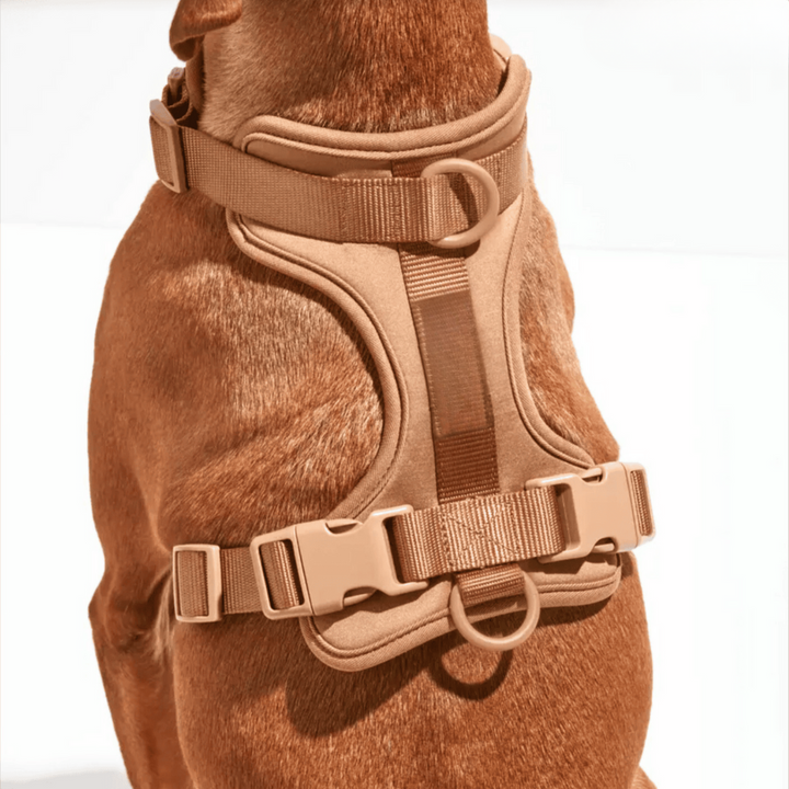 BowLift | ComfyPaws Dog Harness Walking Set with Leash and Poop Bag Holder