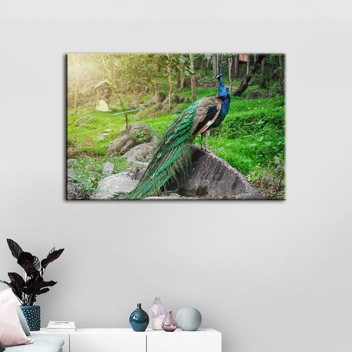 Dignified Sunlit Peacock - Canvas Wall Art Painting | Bowlift