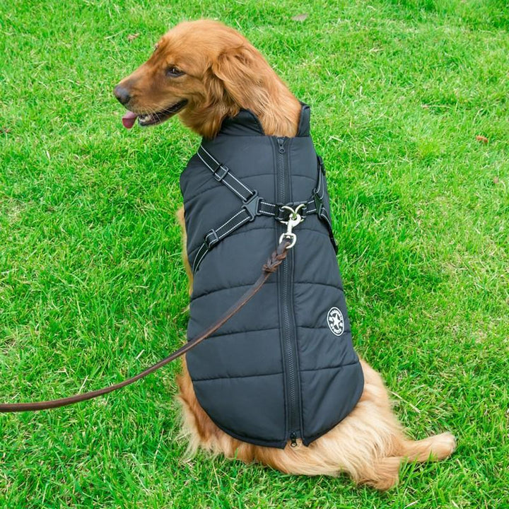 BowLift | Winter Zipper Coat for Dogs