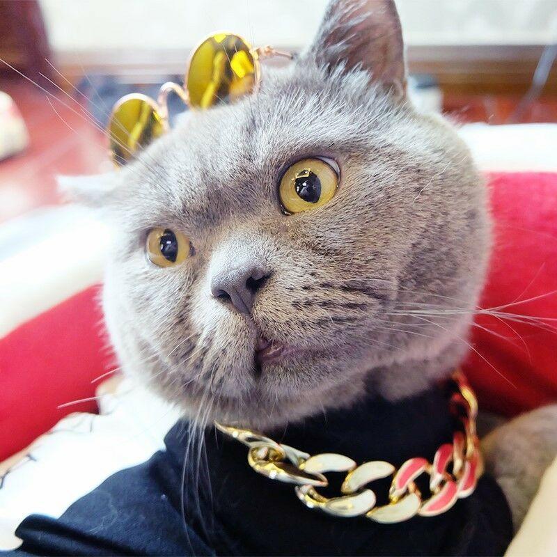 BowLift | Thick golden chain pet safety collar