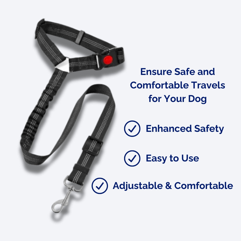 SecureRider • Car Seat Belt