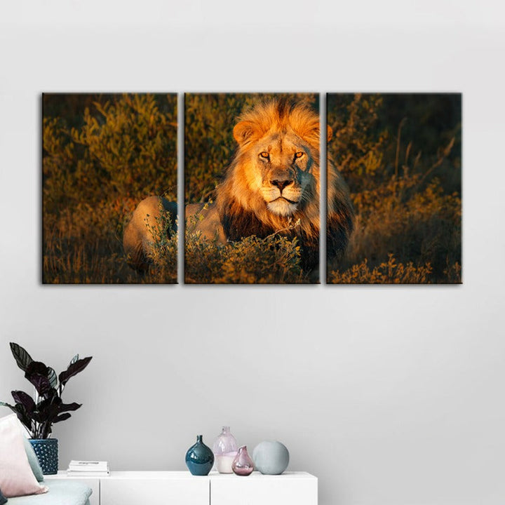 Divine Sunset Lion-Canvas Wall Art Painting 3 Pieces | Bowlift