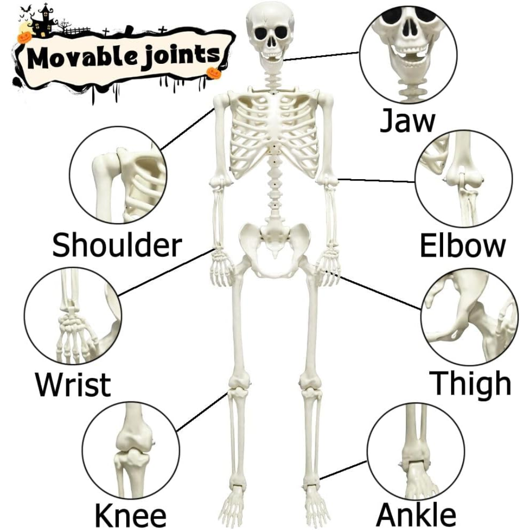 Full Body Skeleton Halloween Decoration – Scares Guaranteed, Fun for All Bowlift