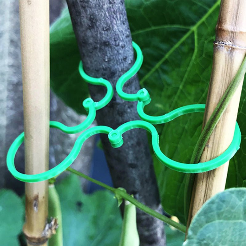 BowLift | Practical garden plant holder (50 pieces)