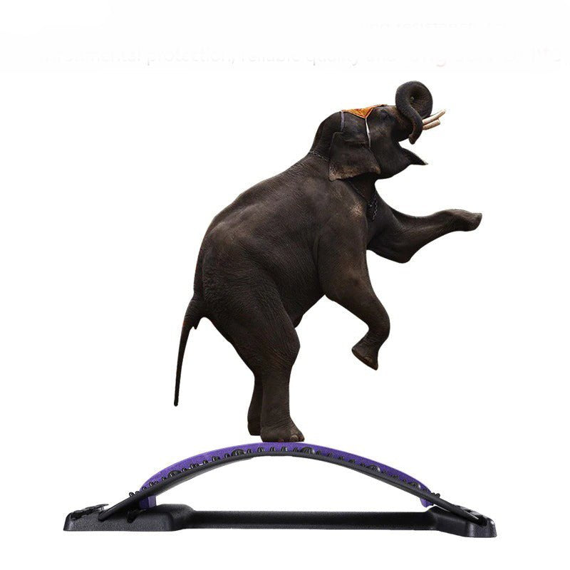 BowLift | LuxuraEase Back Support | Effective relief of back pain for increased well-being