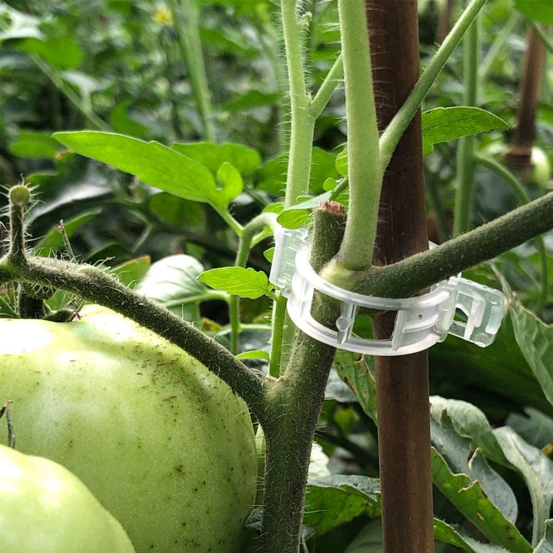 Plastic ring for holding plants | Bowlift
