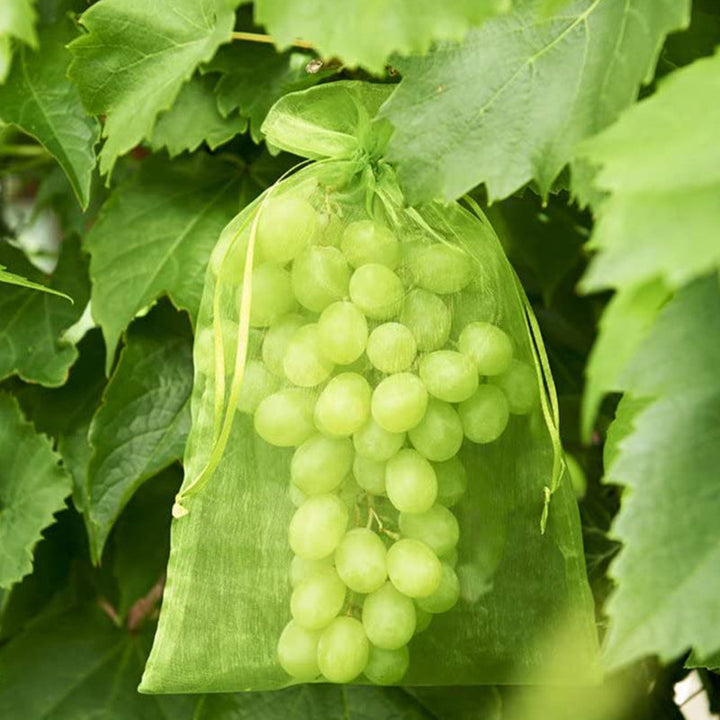 BowLift | Fruit Protection Bag (100 PCS)