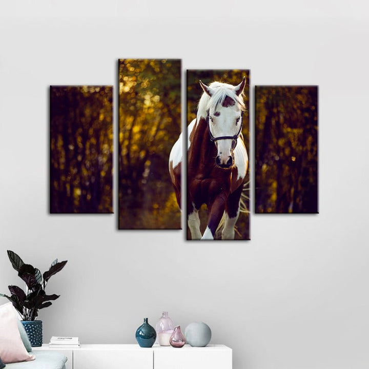 4 Piece Courtly Overo Horse - Canvas Wall Art Painting | Bowlift