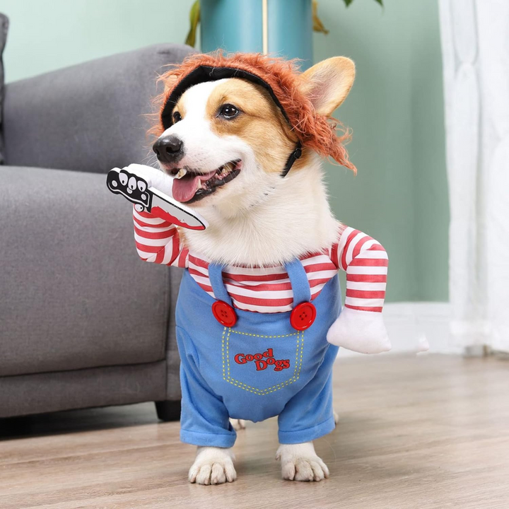Chucky Pet Halloween Costume – Enhance Your Pet’s Playful Personality Bowlift