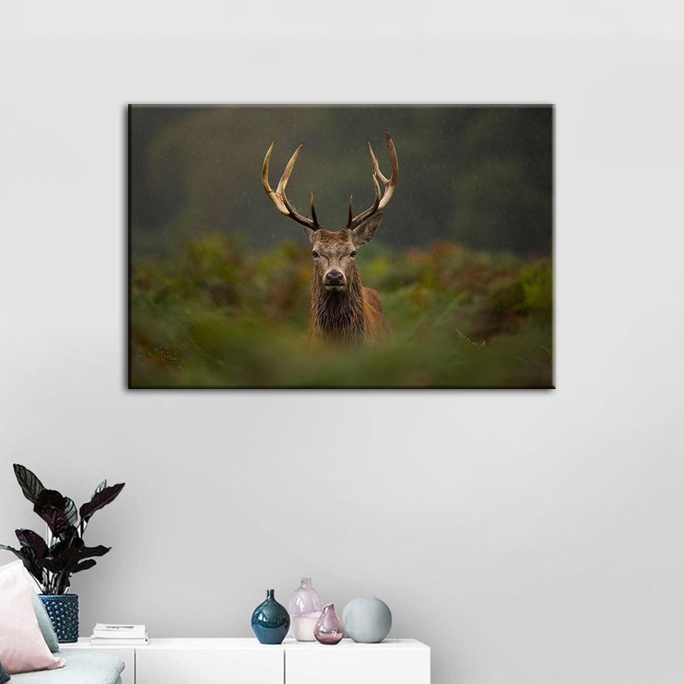 Curios Deer Amongst Ferns - Canvas Wall Art Painting | Bowlift