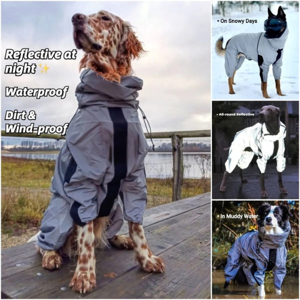 BowLift | Waterproof Dog Coat with Legs – Reflective Dog Rain Jacket for Small & Large Breeds | Best Rain Coat for Dogs UK