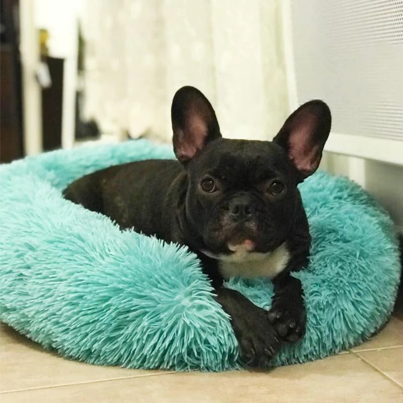 BowLift | Long Plush Donut Pet Bed with Washable Cover and Non-Slip Base