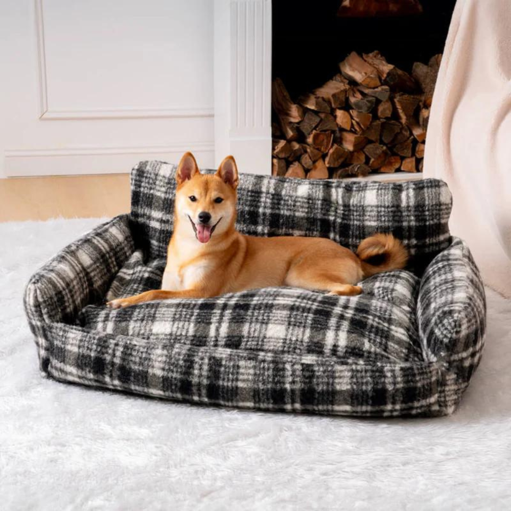 TranquilHaven• Calming Dog Sofa