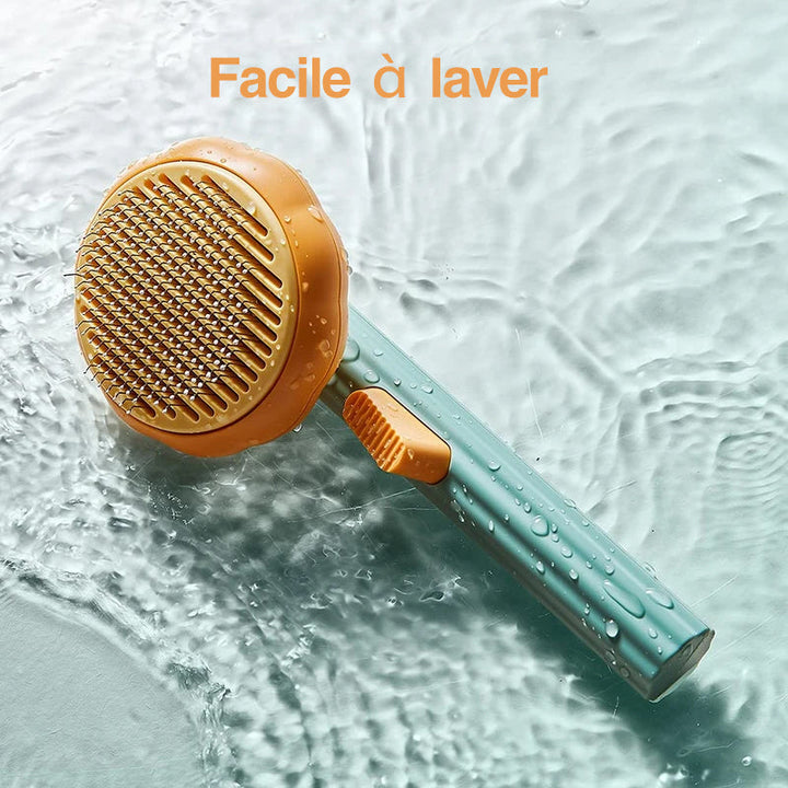 Pumpkin Comb Brush for Pets | Bowlift