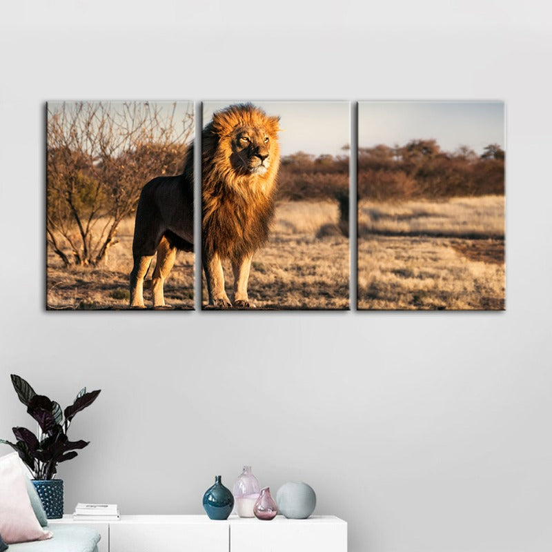 Majestic Lion Bathed In Sunlight-Canvas Wall Art Painting 3 Pieces | Bowlift